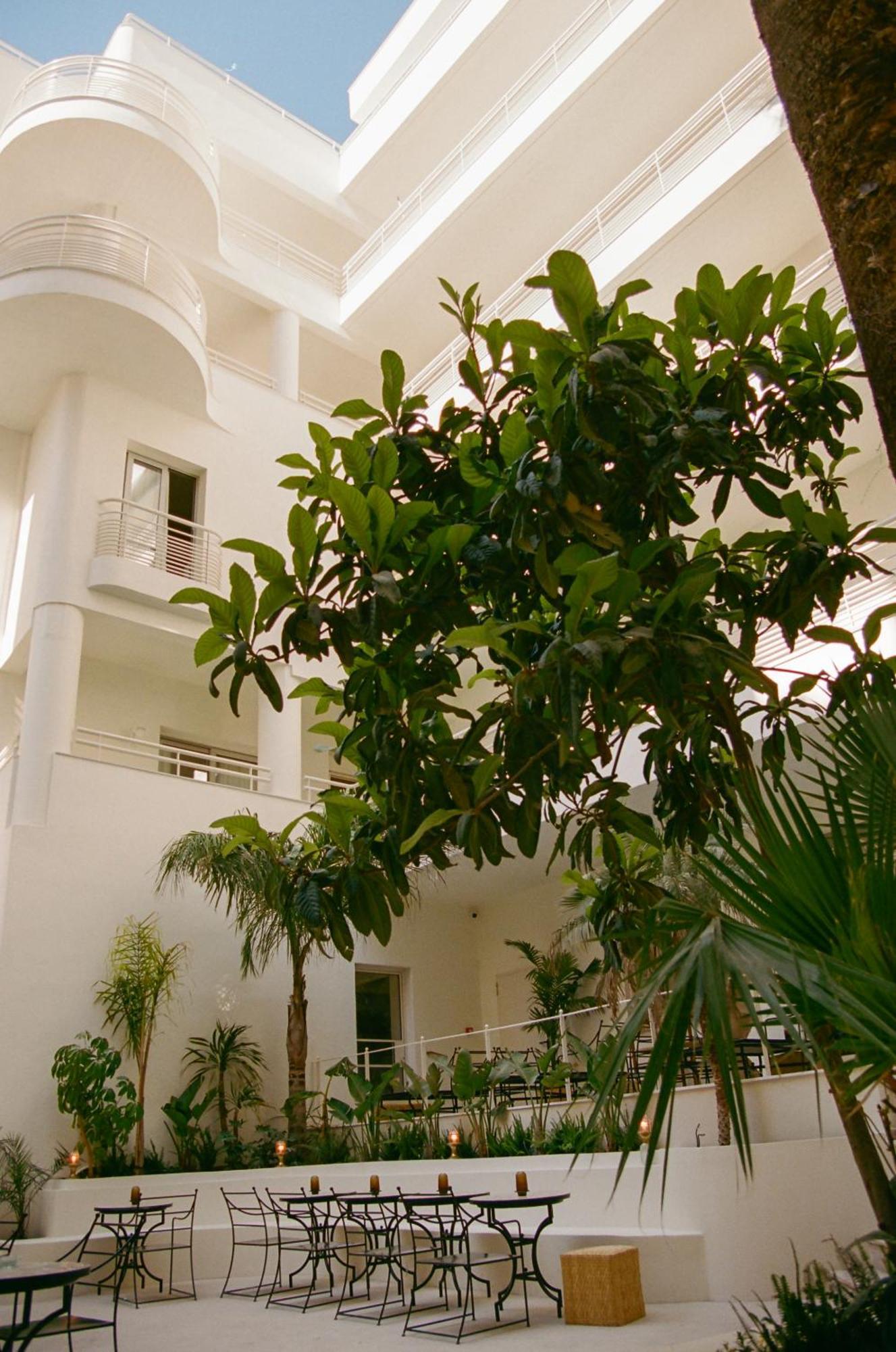 Apollo Palm Hotel 3*